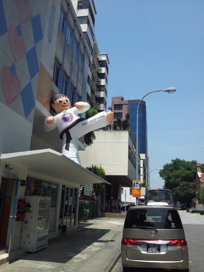 2011-08-08 12.20.50 Mr Tae Kwan Do Man !