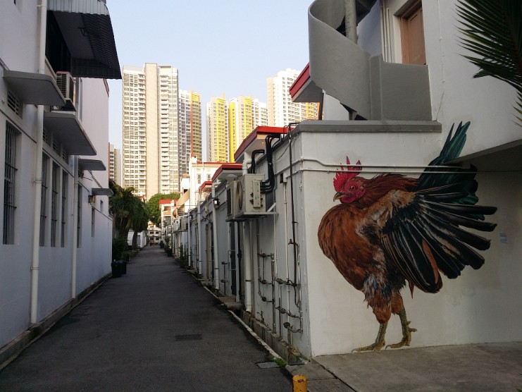 CZ-20140419075411549 Rooster Ambush
