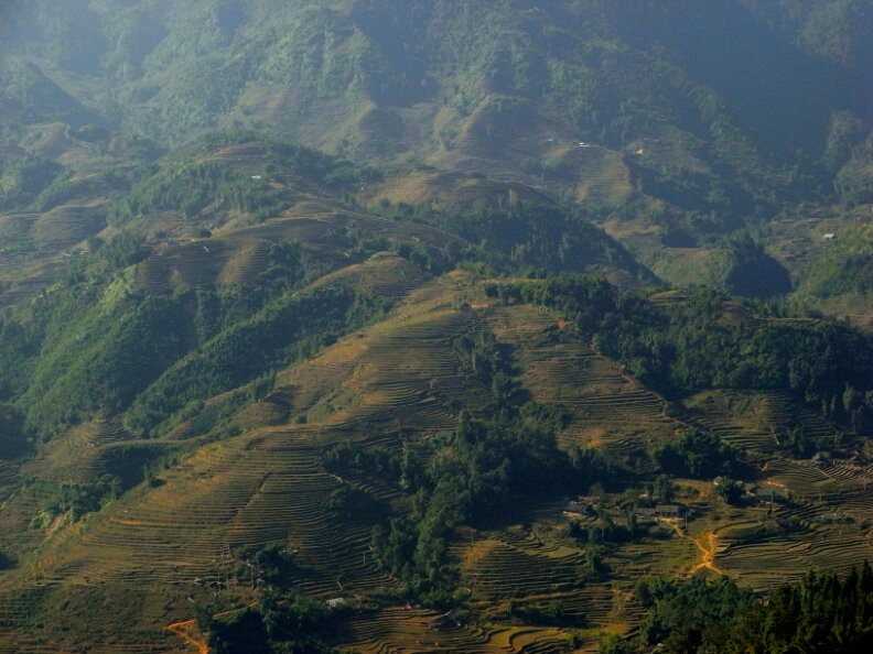 R0015321