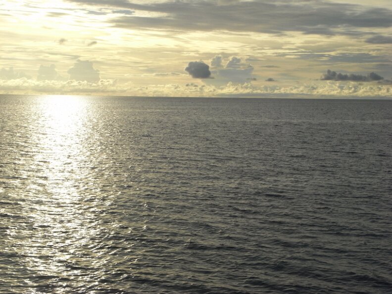 R0016462