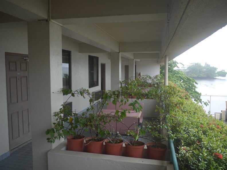 P1000278