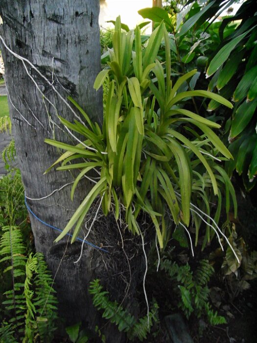 R0016874