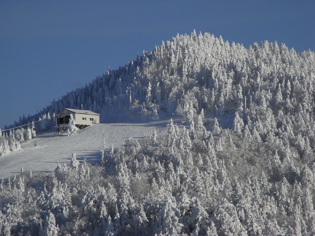 Shiga Kogen 3 days snow boarding experience in Shiga Kogen 志賀高原