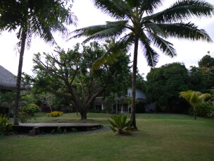 P1030857