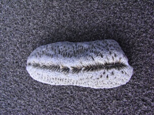 R0019431