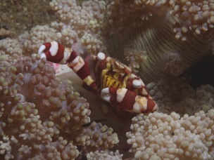 P1030560