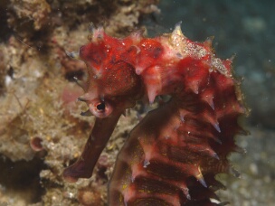 P1030579