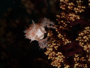 P1030689