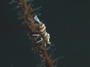 P1030719