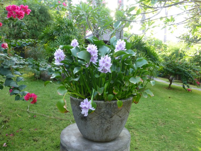 P1010045