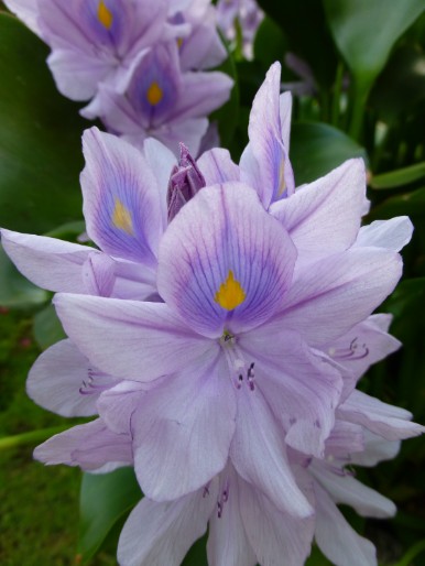 P1010046
