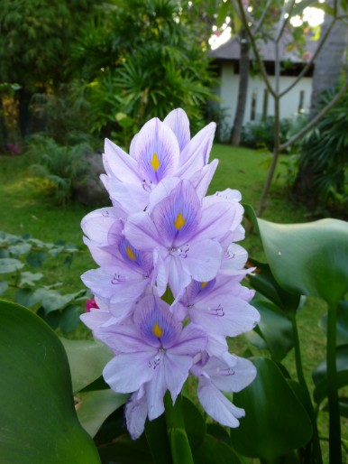 P1010047