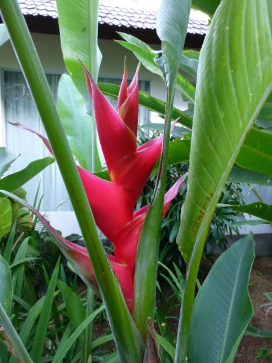 P1010050