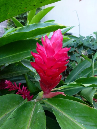 P1010051