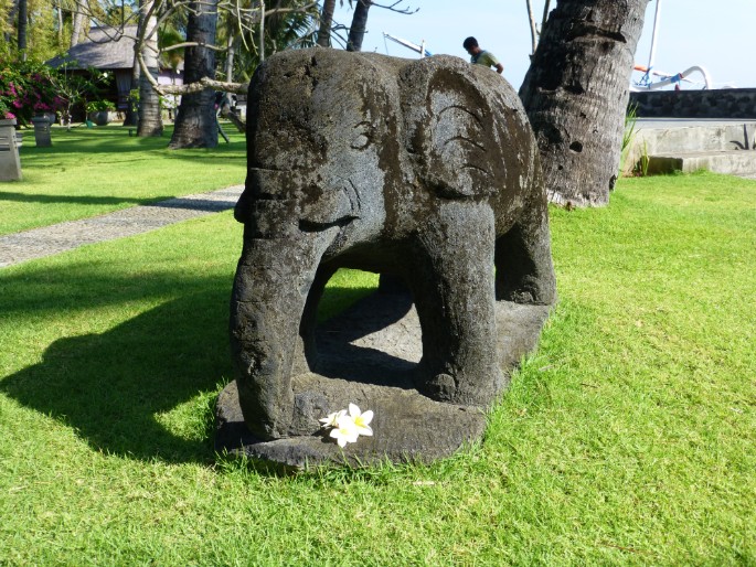 P1010241