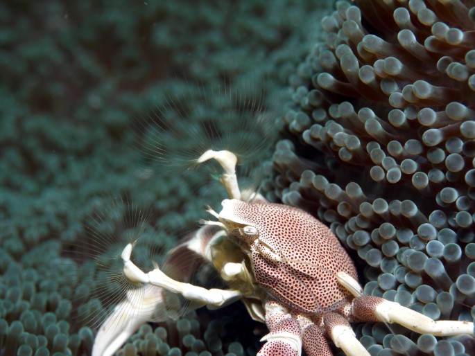 P1050700