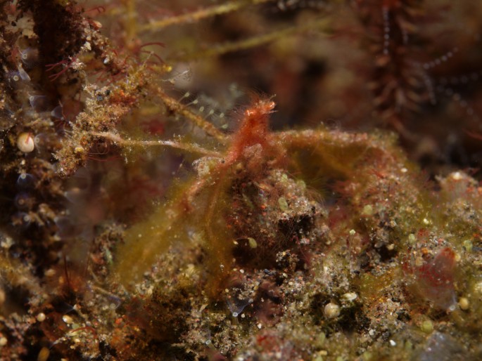 P1050799