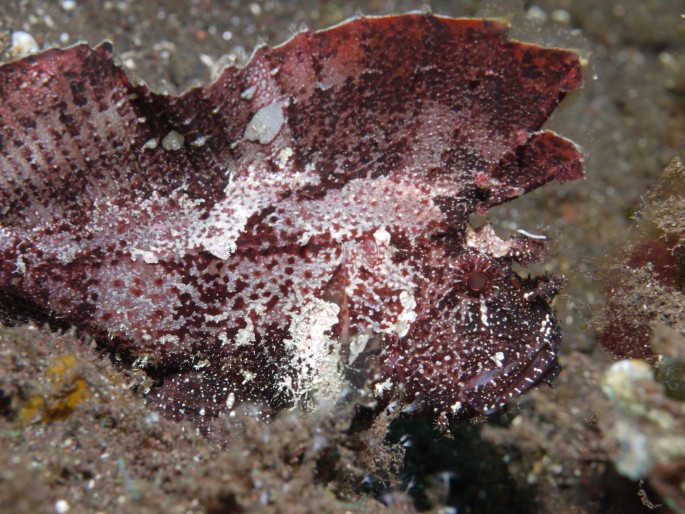 P1050494
