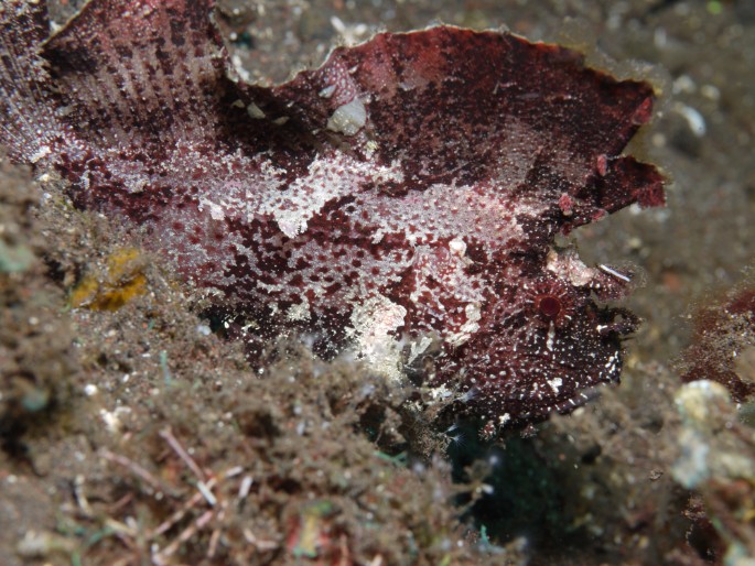P1050495