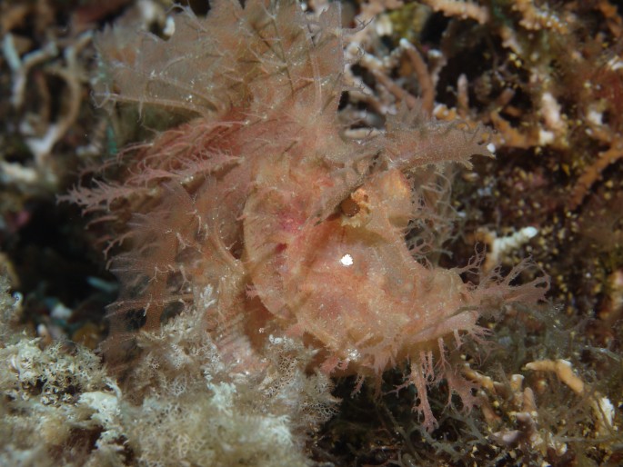 P1050713
