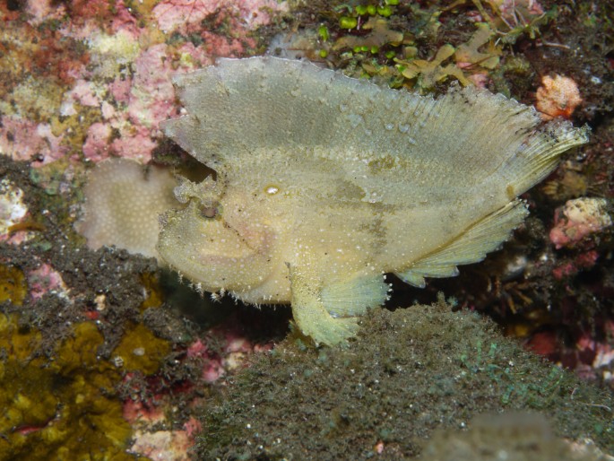 P1050843