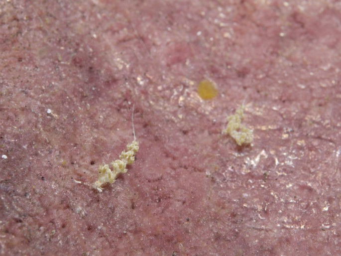 P1050887