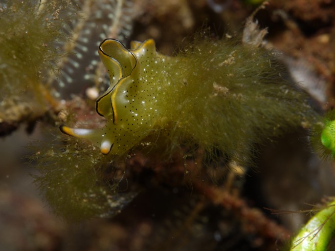 P1050777