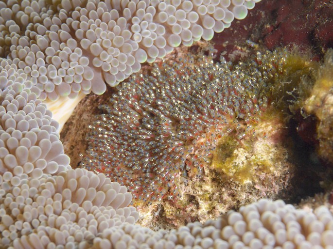 P1050577