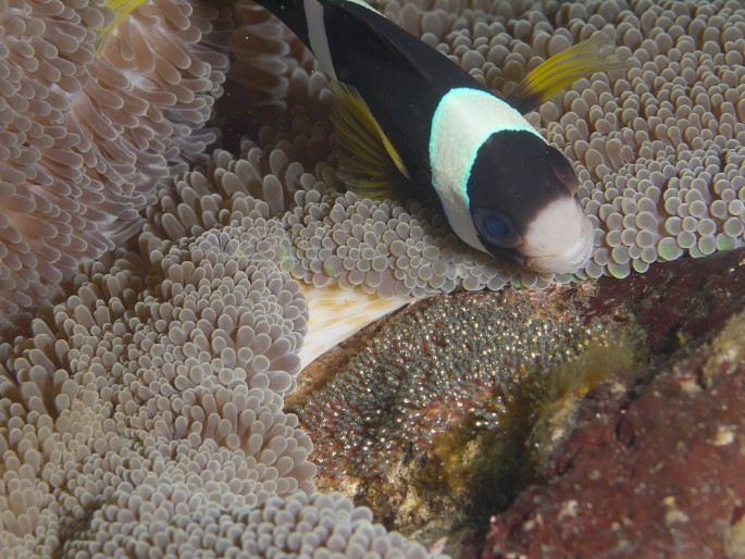 P1050579