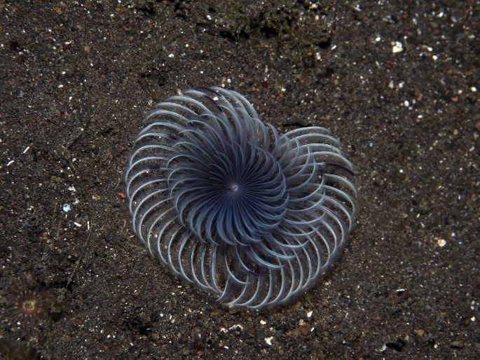 P1050845