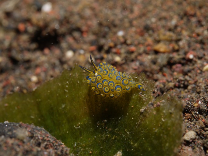 P1050781