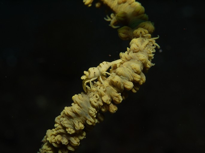 P1050817