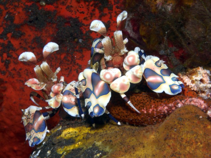 P1060096