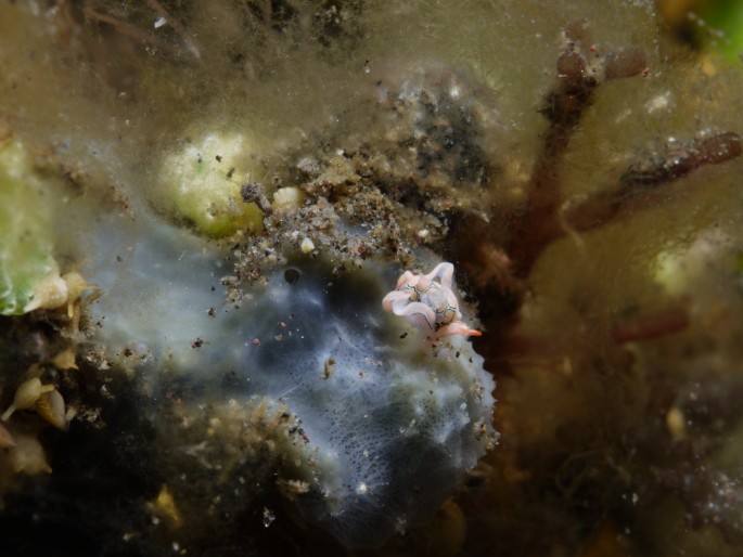 P1060253