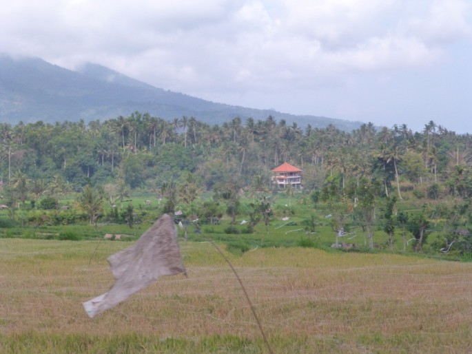P1010028