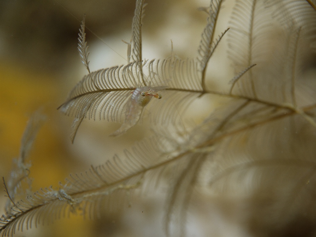 P1070551