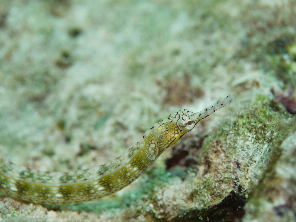 P1070325