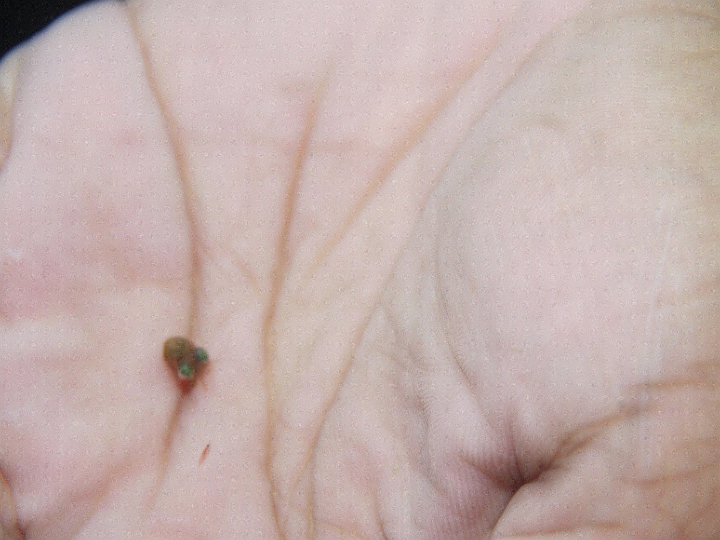 P1070393