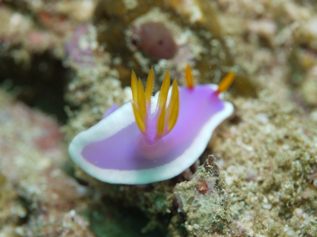 P1070433