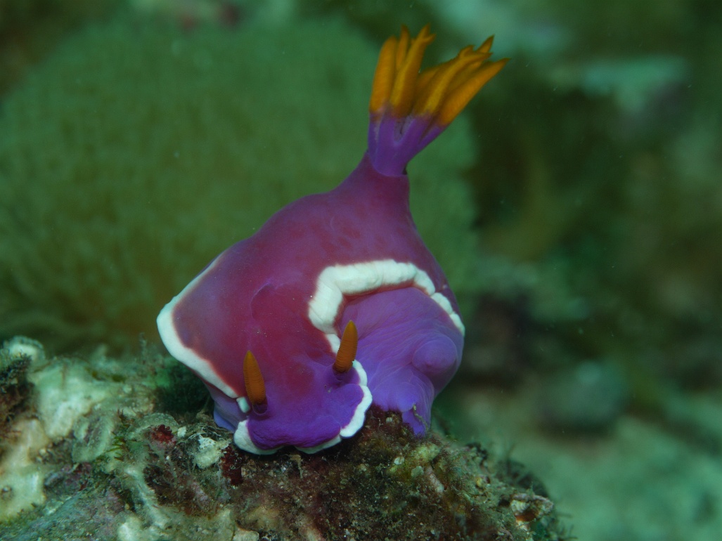 P1070441