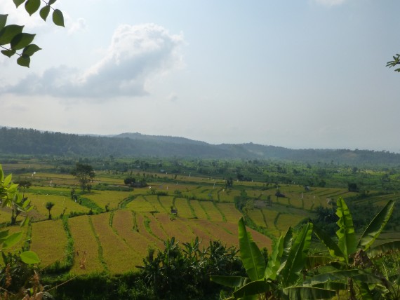 P1020608