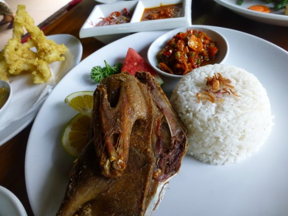 P1020616 Duck bebek