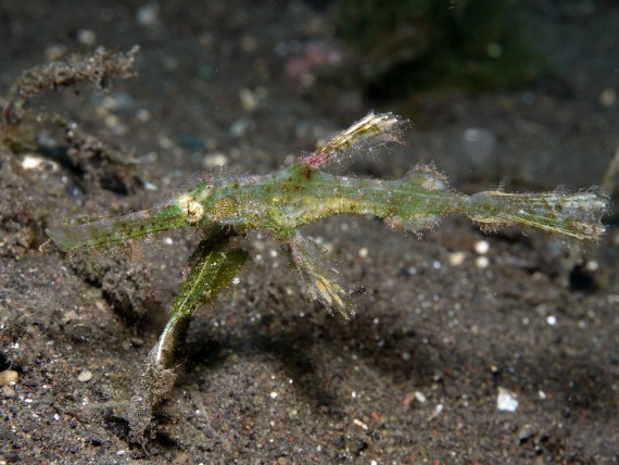 P1080242