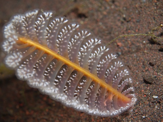 P1070806
