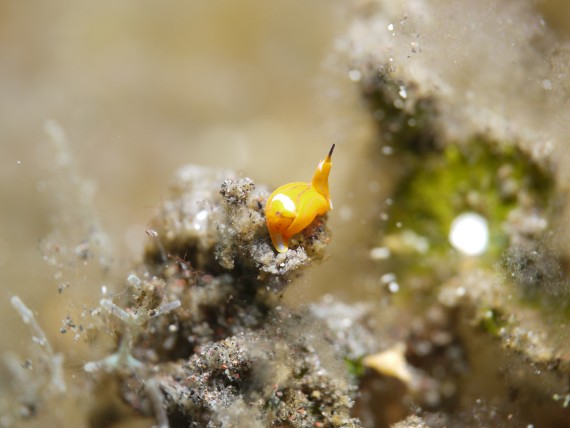 P1070848