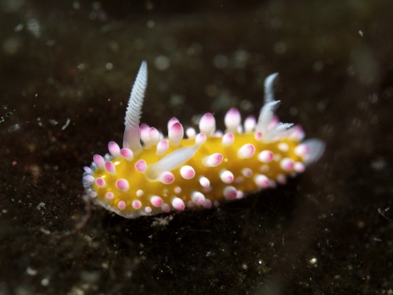P1070870