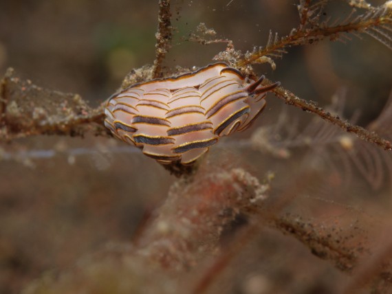 P1070916