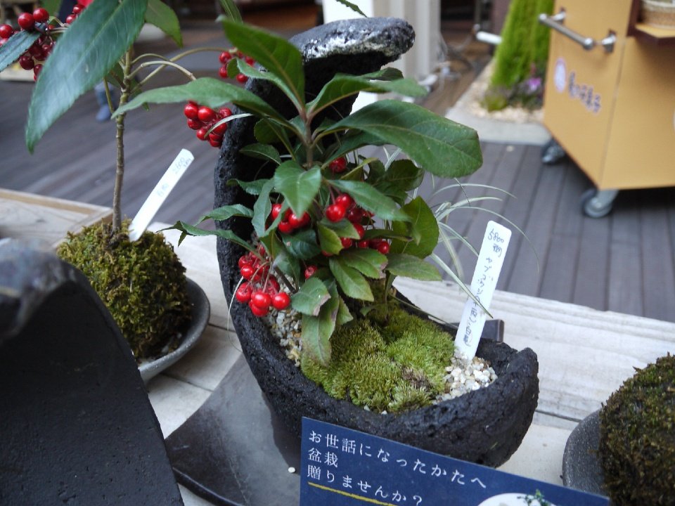 P1080825
