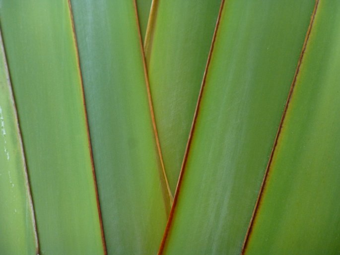 P1040166