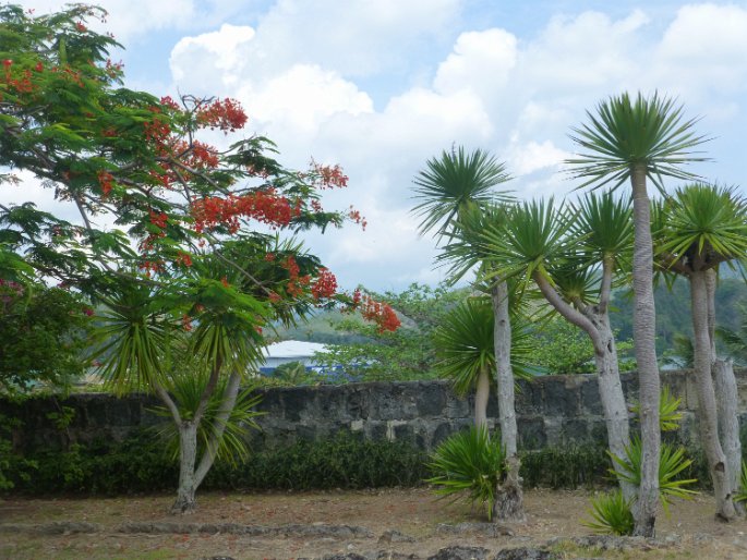 P1040371